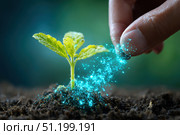 Farmer with fertilizer grains pouring onto the soil. Person applying mineral fertilizer blue granules to green plant. Vegetable garden. Agriculture industry, development, economy investment growth. Стоковое AI-изображение, AI-художник Марина Демидюк / Фотобанк Лори