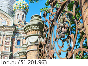 Saint PETERSBURG, Russia - June 2, 2021: Mikhailovsky Garden fence grid. Редакционное фото, фотограф Наталия Кирсанова / Фотобанк Лори