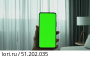 Hand of young woman holding smartphone green screen at home living room. Mobile phone vertical mockup. Female person using phone showing blank green background display. Chroma key smart phone. Closeup. Стоковое AI-видео, аниматор Марина Демидюк / Фотобанк Лори