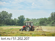The tractor mows and cleans the grass in the field. Harvesting hay for animal feeding. Стоковое фото, фотограф Наталия Кирсанова / Фотобанк Лори