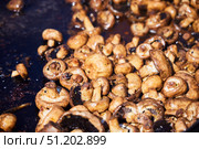 Various vegetables in a huge cauldron are cooked in oil. Стоковое фото, фотограф Наталия Кирсанова / Фотобанк Лори