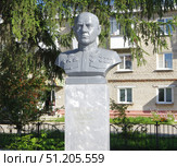 Бюст Героя Советского Союза М.А. Чистякова. Курганская область, город Катайск, Комсомольская улица. Редакционное фото, фотограф Алексей Иванов / Фотобанк Лори