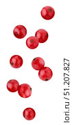 Falling red currants, isolated on a white background. Стоковое фото, фотограф Дмитрий Цветков / Фотобанк Лори