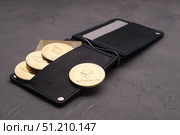 Crypto-currency: a leather purse with plastic cards and ethereum coins. Стоковое фото, фотограф Енваев Андрей / Фотобанк Лори