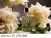 Natural Rose Oil Beside Blooming Buds for Skincare and Beauty Enhancement. Стоковое фото, фотограф Ольга Коваленко / Фотобанк Лори