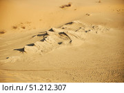 Sarykum dune, the largest sand dune in Europe.. A desert scene with a large mound of sand. The sand is dry and the sun is shining brightly. Стоковое фото, фотограф Наталия Кирсанова / Фотобанк Лори