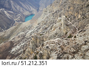 A rocky cliff with a small plant growing on it. The view is of a mountain range. Concept of ruggedness and natural beauty. Стоковое фото, фотограф Наталия Кирсанова / Фотобанк Лори