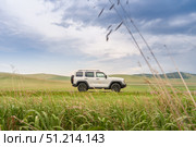 A white 4x4 vehicle TANK 300 moves steadily along a rural road lined with tall grasses. In the background, rolling green hills stretch under a cloudy sky, creating a serene landscape. Редакционное фото, фотограф Владимир Разгуляев / Фотобанк Лори