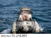 Front view of the open mouth on a young southern right whale. VW Pics/Stocktrek Images/TASS. Стоковое фото, агентство ТАСС / Фотобанк Лори