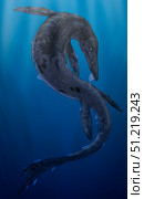 Tylosaurus, a giant marine squamata shedding its skin. Vitor Silva/Stocktrek Images/TASS. Стоковое фото, агентство ТАСС / Фотобанк Лори
