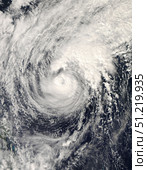 Typhoon Dolphin in the Philippine Sea. Stocktrek Images, Inc./TASS. Стоковое фото, агентство ТАСС / Фотобанк Лори