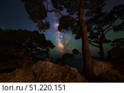 The Milky Way shining through the trees on the coast of the Black Sea. Yuri Zvezdny/Stocktrek Images/TASS. Стоковое фото, агентство ТАСС / Фотобанк Лори
