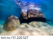 Boulders in Lake Tahoe, Nevada. Jennifer Idol/Stocktrek Images/TASS. Стоковое фото, агентство ТАСС / Фотобанк Лори