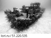 A view of the Doc Polson shipwreck in Grand Cayman, Cayman Islands. Jennifer Idol/Stocktrek Images/TASS. Стоковое фото, агентство ТАСС / Фотобанк Лори