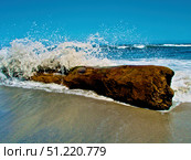 Waves splashing over driftwood on beach. Amanda Nicholls/Stocktrek Images/TASS. Стоковое фото, агентство ТАСС / Фотобанк Лори