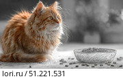 Ginger cat sitting pensively near sketched food bowl, illustrating curious cat behavior and nutritional awareness for pet owners. Стоковое AI-изображение, AI-художник Юрий Поздников / Фотобанк Лори