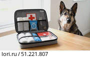 German shepherd closely examining pet first aid kit, positioned on wooden surface, emphasizing urgent medical readiness for dog health protection. Стоковое AI-видео, аниматор Юрий Поздников / Фотобанк Лори