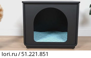 Ginger cat investigating sleek black litter box furniture, seamlessly integrating stylish pet solution into contemporary home decor. Стоковое AI-видео, аниматор Юрий Поздников / Фотобанк Лори