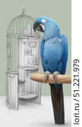 Hyacinth macaw perching on wooden branch beside bird cage sketch, displaying vivid blue feathers against soft green studio background. Стоковое AI-видео, аниматор Юрий Поздников / Фотобанк Лори