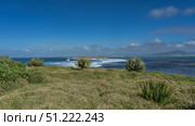 Bushes of yucca, fan palms, and tropical plants grow on the coast of the island. Grass in the meadow. The waves of the blue ocean are foaming in the strait. The silhouette of a mountain on the horizon. Стоковое фото, фотограф Вера Ивановна Кубарева / Фотобанк Лори