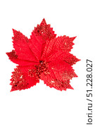 Shiny red poinsettia with bold glitter texture on white background. Handmade festive decoration for Christmas crafts, vibrant and eye-catching holiday detail. Стоковое фото, фотограф Татьяна Терехина / Фотобанк Лори