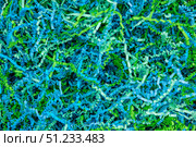 Abstract Background of Blue and Green Crinkled Paper Strips. Стоковое фото, фотограф Дмитрий Коростылев / Фотобанк Лори