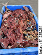 Big box of fish trimmings close up photo. Стоковое фото, фотограф Константин Никитеев / Фотобанк Лори