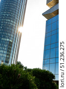 A Contemporary Urban Landscape with Reflective Glass Towers and Lush Greenery Under Bright Sunlight. Стоковое фото, фотограф Владимир Федоров / Фотобанк Лори