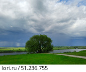 Есенинские места. Природа рязанской области. Пейзажи в музее Сергея Есенина Константиново (2022 год). Редакционное фото, фотограф Мария Сергеева / Фотобанк Лори