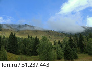Scenic Mountain Landscape with Clouds and Evergreen Trees. Стоковое фото, фотограф Igor Bastrakov / Фотобанк Лори