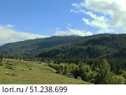 Scenic Mountain Landscape with Lush Greenery and Clear Blue Skies. Стоковое фото, фотограф Igor Bastrakov / Фотобанк Лори