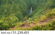 Hiker woman overlooking tall green cliffs and distant waterfall in Costa Rica. Стоковое видео, видеограф Igor Tichonow / Фотобанк Лори