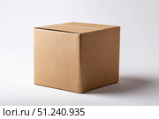 Brown Cardboard Box. Delivery product packaging carton Mockup isolated on white background. Closed taped rectangular corrugated fiberboard box with shadow. Postal, mailing box, package mock up. Cargo. Стоковое AI-изображение, AI-художник Марина Демидюк / Фотобанк Лори
