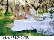 Women sitting at a table in the grass drinking tea. Стоковое фото, фотограф Cantemir Dumitru / Фотобанк Лори