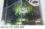 Modern Lighting and Greenery Decor Enhancing Contemporary Space for Stylish Living Areas. A stylish blend of vibrant neon lighting combined with lush greenery creates a perfect modern interior design. Стоковое видео, видеограф worker / Фотобанк Лори