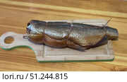 Cold hot smoked mackerel, beautifully laid out on a wooden chopping board, is ready for cooking and serving and is perfect for culinary themes. Стоковое видео, видеограф worker / Фотобанк Лори
