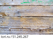 Old wooden boards with nail, green paint stains on natural texture wood plank. Стоковое фото, фотограф Зарифа Арсланова / Фотобанк Лори