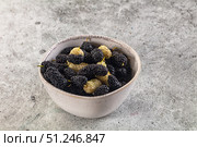 Ripe sweet juicy black and white mullberry. Стоковое фото, фотограф Андрей Старостин / Фотобанк Лори