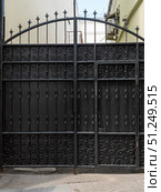 Elegant Black Iron Gate with Decorative Scrollwork. Стоковое фото, фотограф Sergakoff / Фотобанк Лори