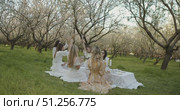 An Elegant Picnic Gathering Taking Place in a Blooming Orchard During a Beautiful Afternoon. Стоковое видео, видеограф Cantemir Dumitru / Фотобанк Лори