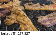 Juicy Pork Belly and Marinated Pork Steaks on the Grate of an Open Charcoal Grill. Стоковое видео, видеограф Sergakoff / Фотобанк Лори