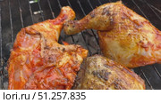 Deliciously Marinated Chicken Thighs and Chicken Drumsticks on the Grate Grill in the Garden. Стоковое видео, видеограф Sergakoff / Фотобанк Лори