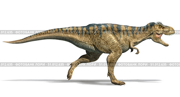 3D illustration of a T-rex dinosaur running, side view on white background. Стоковое фото, фотограф Leonello Calvetti/Stocktrek Images / ТАСС / Фотобанк Лори