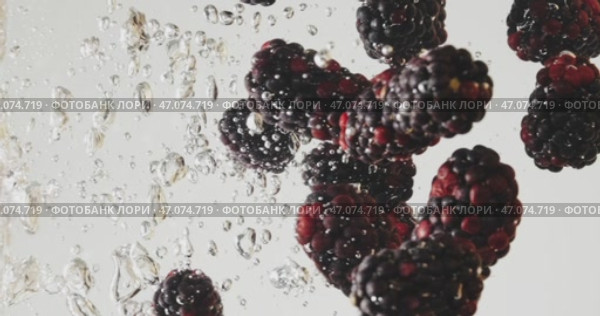 A beautiful scene of Blackberry fruit splashing in clear water, capturing natures essence. Стоковое видео, видеограф Владимир Ковальчук / Фотобанк Лори