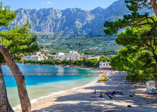 A beautiful view of Makarska beach through the pines. Стоковое фото, фотограф Михаил Аккуратoв / Фотобанк Лори