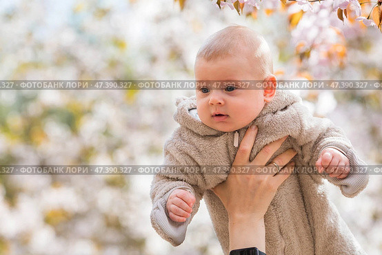 A charming boy in nature among flowering trees. A 4-month-old child looks at the camera and smiles. Family, pregnancy and childbirth. Стоковое фото, фотограф Photojuli / Фотобанк Лори