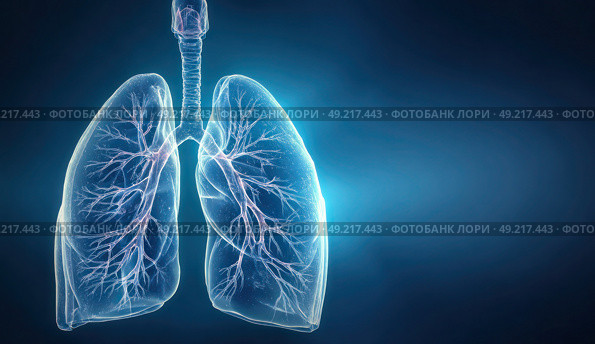 A close up of a lung with a blue background. Стоковое AI-изображение, AI-художник Ярославский Максим / Фотобанк Лори