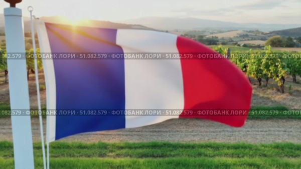 A close-up of the French flag in the foreground with a picturesque vineyard landscape in the background during sunset. The scene captures the essence of Bastille Day. Стоковое AI-видео, аниматор Nart / Фотобанк Лори