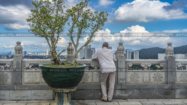A dwarf bonsai tree grows in a pot. A man stands at the carved railing on the terrace, looking at the panorama of the city. The view from the back. Malaysia. Penang. Georgetown. Kek Lok Si Temple (2023 год). Стоковое фото, фотограф Вера Ивановна Кубарева / Фотобанк Лори