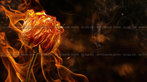 A flower stands in the midst of a raging fire, its petals surrounded by flames as it bravely endures the intense heat. Стоковое AI-изображение, AI-художник Данила Большаков / Фотобанк Лори